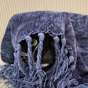 Meet your Posher, Lucy